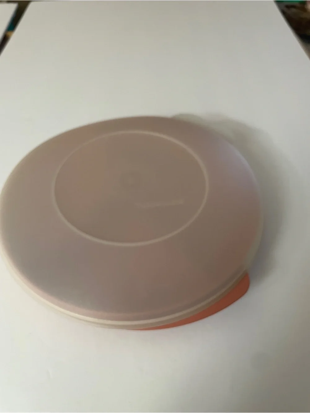 Tupperware Vintage Plastic Divided Serving Dish with Lid - Rust
